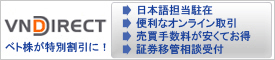 VNダイレクト証券会社紹介